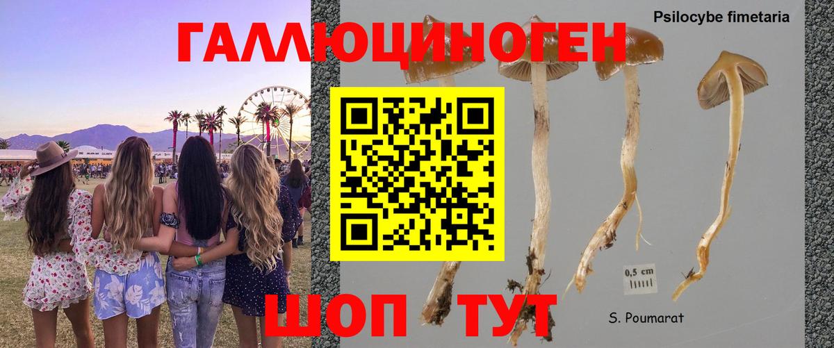 Галлюциногенные грибы MAGIC MUSHROOMS  Вход с VPN  Алушта 